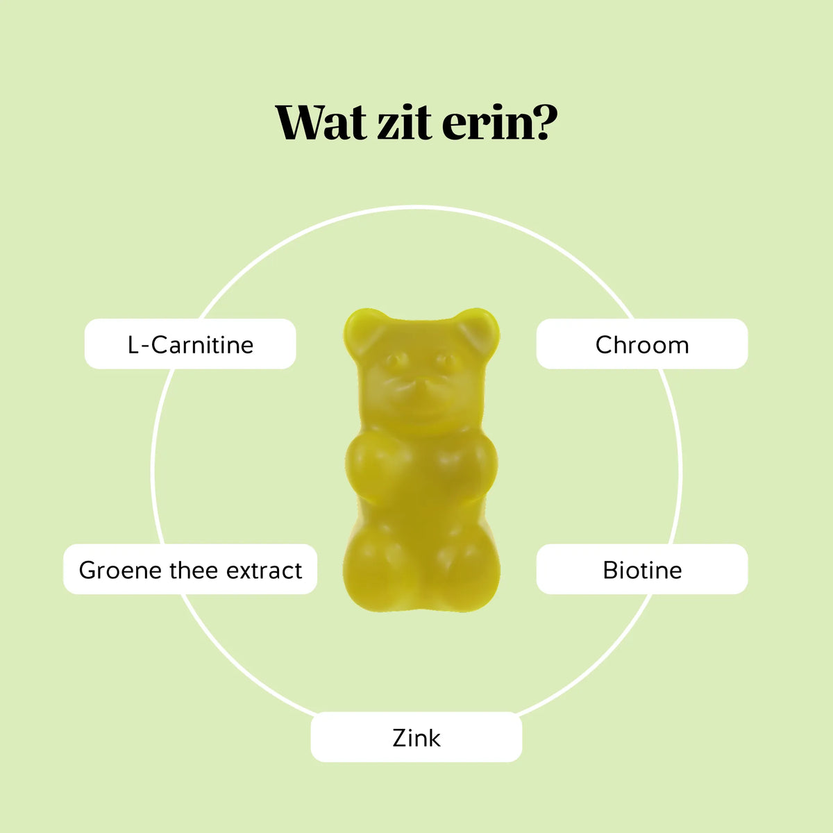 Bears with Benefits Burn Baby Burn Vitamin – Ingrediënten van de gummies: chroom, biotine, zink, L-carnitine & groene thee-extract.