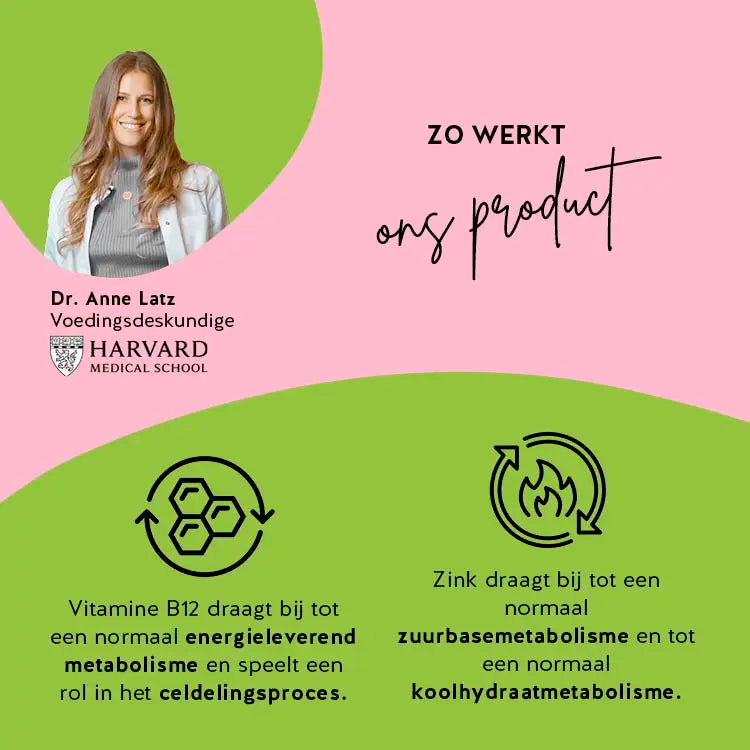 Beschrijving van hoe de ingrediënten van My Metabolic Matcha vitamines in het lichaam werken.