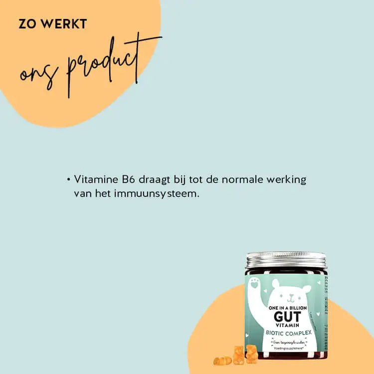 Dit is de werking van de One in a Billion Gut Vitamins van Bears with Benefits met inuline, vitamine B6 en Bacillus Coagulans.