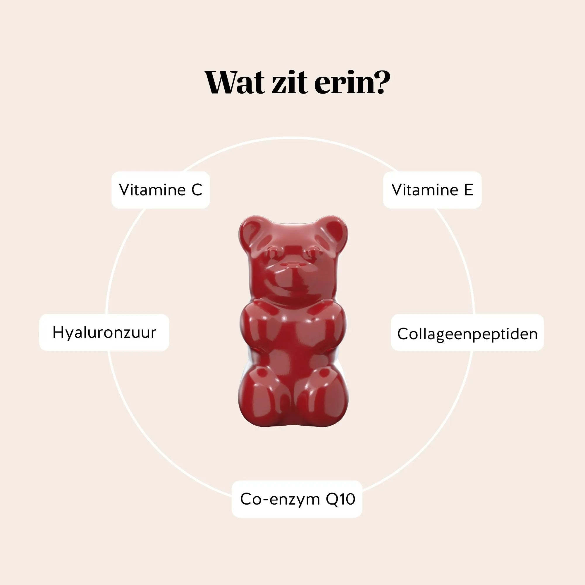 Visual met gummybeer en de ingrediënten van Forever Young Skin Vitamin gummies: vitamine C, vitamine E, collageenpeptiden, hyaluronzuur en co-enzym Q10 l Bears with Benefits.