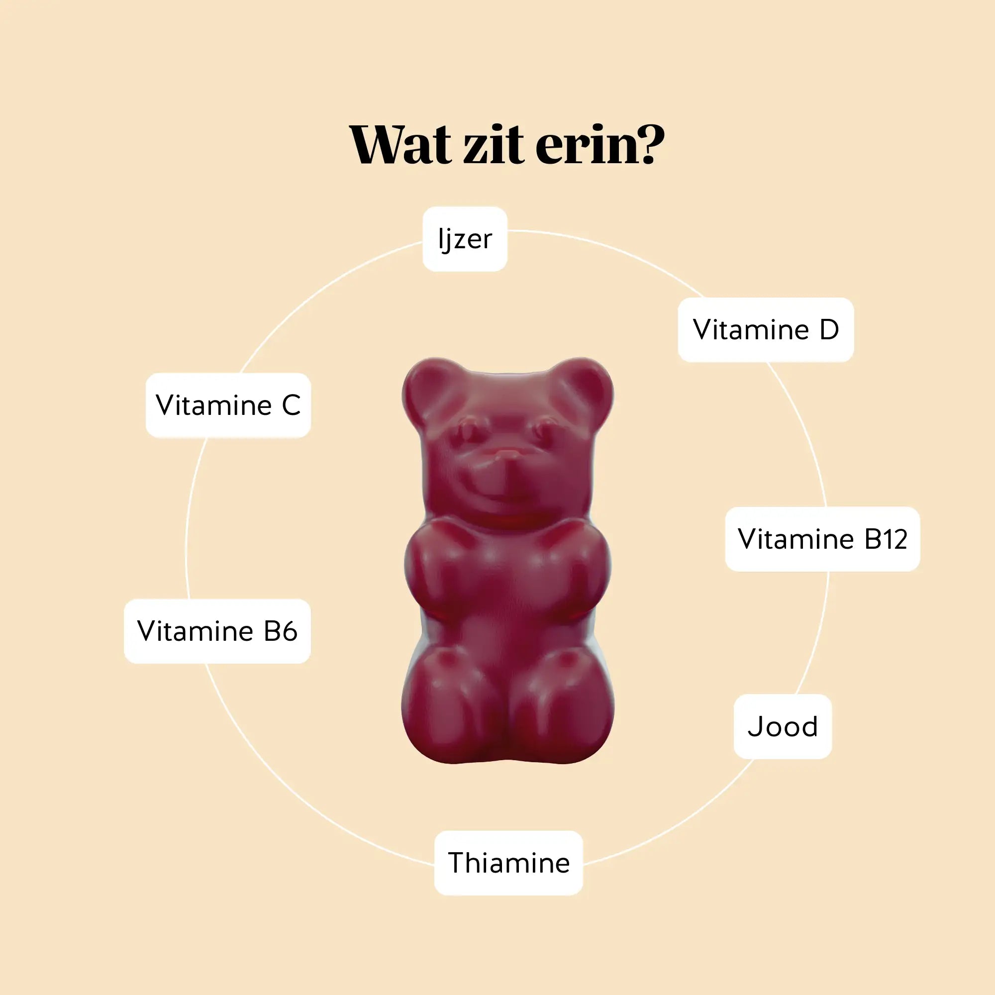 Infografiek met de ingrediënten van Queen of Iron Power gummies: ijzer, vitamine D, B12, C, B6, jodium en thiamine l Bears with Benefits.