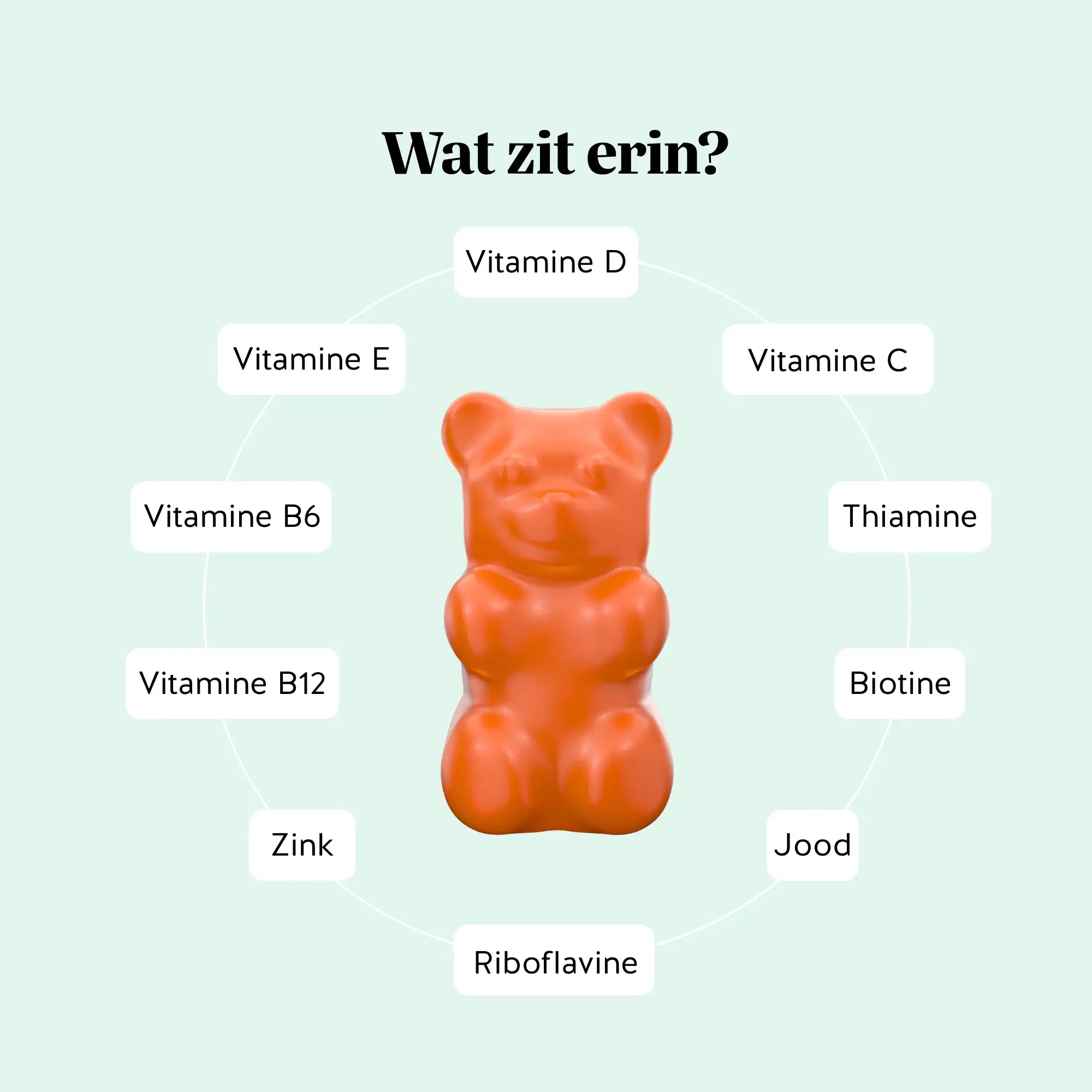 Overzicht “Wat zit erin?” van de All-in-One KIDS VITAMIN gummies van Bears with Benefits met vitamines en mineralen: vitamine D, C, E, B6, B12, thiamine, riboflavine, biotine, jood en zink.