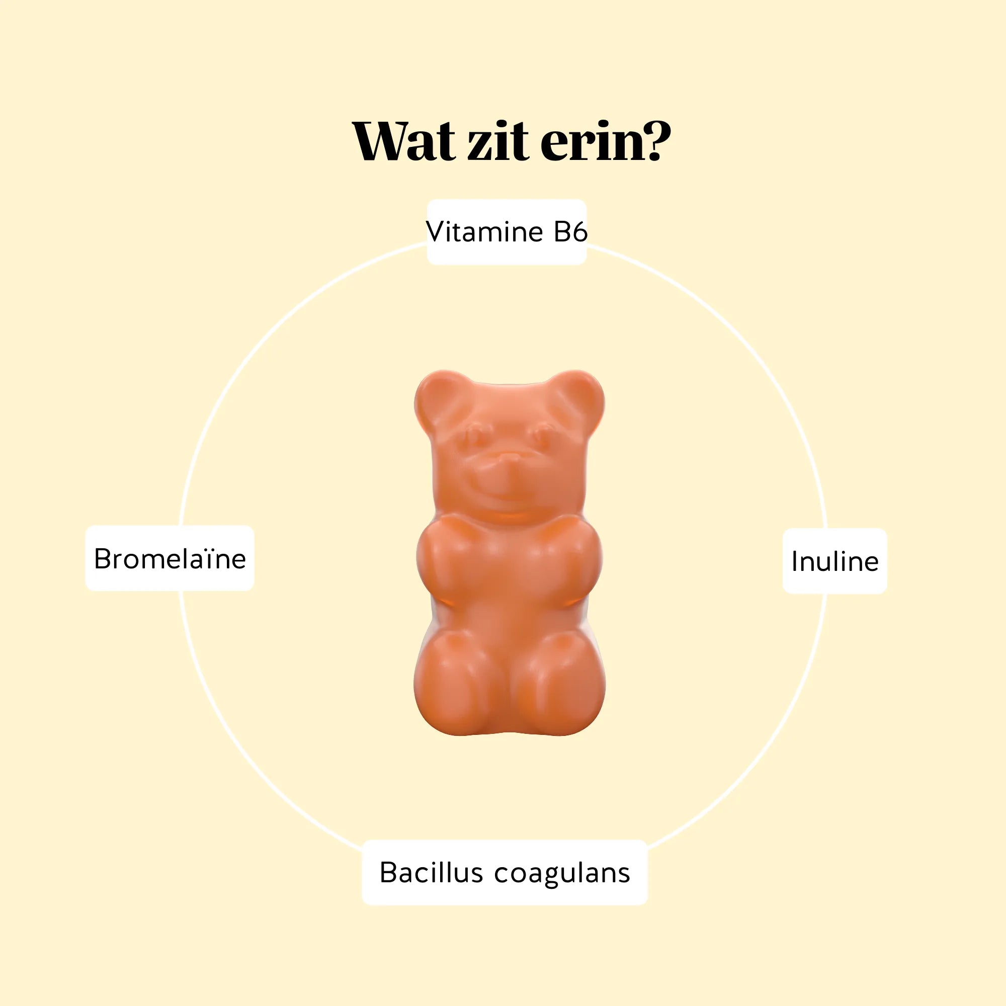 Bears with Benefits Rest & Digest Gut Flow Vitamin – ingrediëntenoverzicht van gummies met vitamine B6, inuline, Bacillus coagulans en bromelaïne