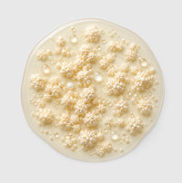 Bacillus coagulans
