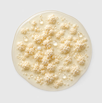 Bacillus coagulans