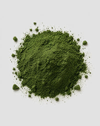 Chlorella