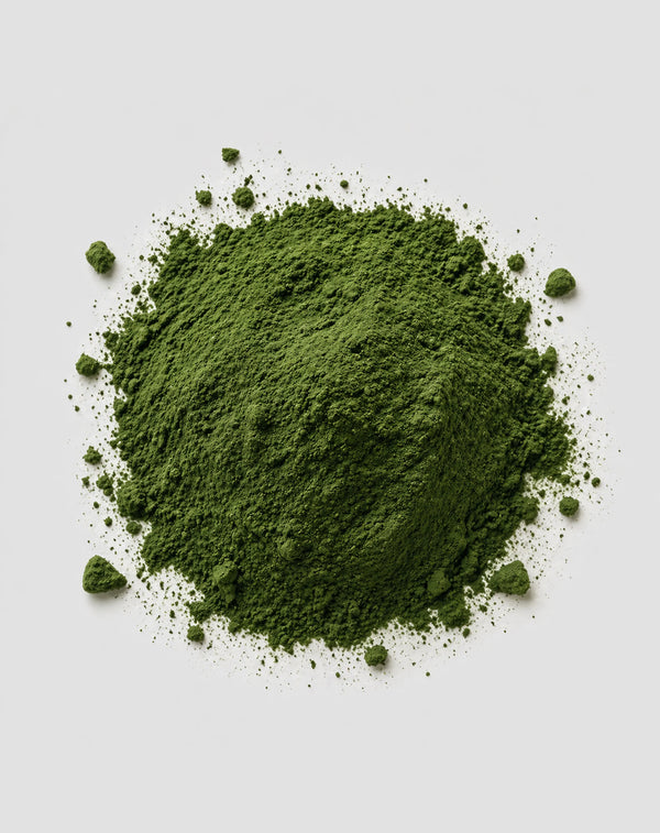 Chlorella