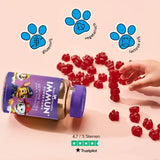 Hier zijn de voordelen van Immune Power Paws Bears met Zink en Vitamine C van Bears with Benefits. Glutenvrij, vegetarisch en lactosevrij.