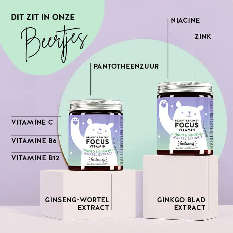 Deze afbeelding toont de ingrediënten van de Beauty & Brains Focus Bears met Ginkgo & Ginseng extract. Ginkgo, ginsengwortelextract, vitamine B12, vitamine B6, vitamine C, pantotheenzuur, niacine en zink.