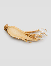 Ginseng