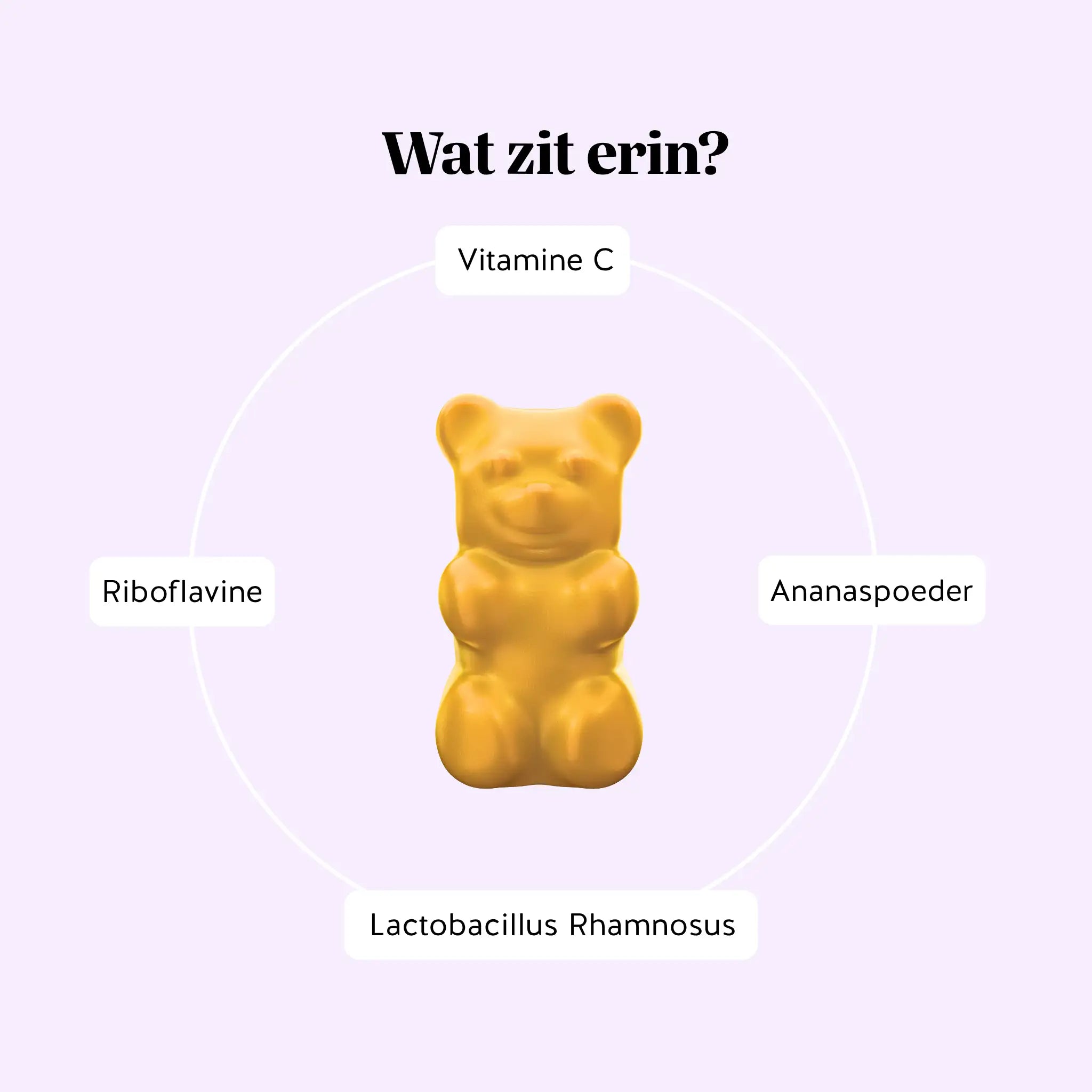 Overzicht van ingrediënten in Intimate Balance Flora: riboflavine (vitamine B2), vitamine C, ananaspoeder en Lactobacillus Rhamnosus | Bears with Benefits