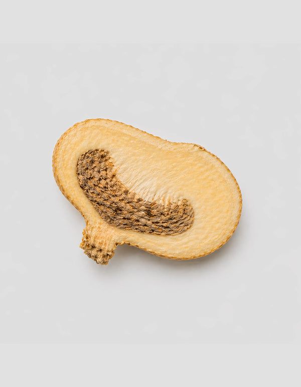 Maca
