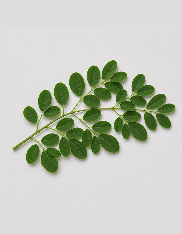 Moringa