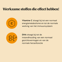 Bears with Benefits Catch of the Day Vitality Support – tekstafbeelding met werkzame stoffen voor vegan gummies met DHA 50 mg en vitamine C 20 mg; vitamine C draagt bij tot een normaal energiemetabolisme en de normale werking van het immuunsysteem, DHA draagt bij tot de instandhouding van een normaal gezichtsvermogen en normale hersenfunctie