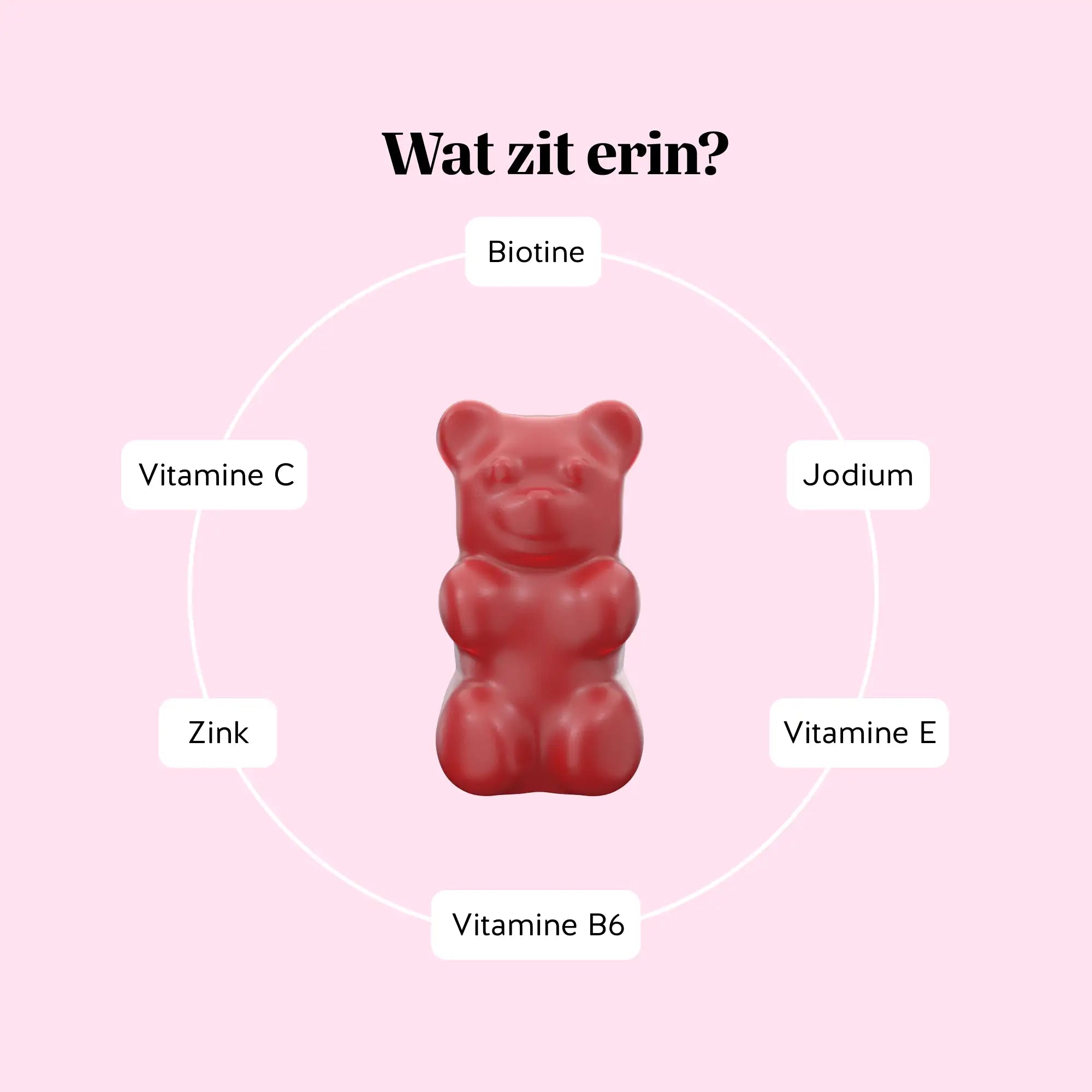 Infographic met de samenstelling van Ah-mazing Hair Vitamin Biotine gummies, waaronder biotine, vitamine C, vitamine E, vitamine B6, jodium en zink l Bears with Benefits.