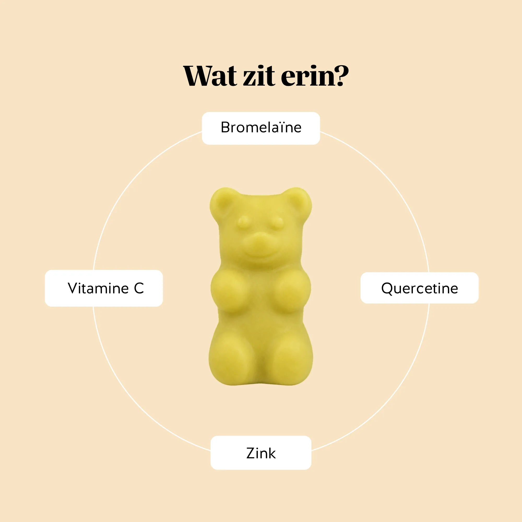 Ingrediënten van de Bye Bye Sniff! Relief* Complex gummies van Bears with Benefits, met bromelaïne, quercetine, vitamine C en zink.