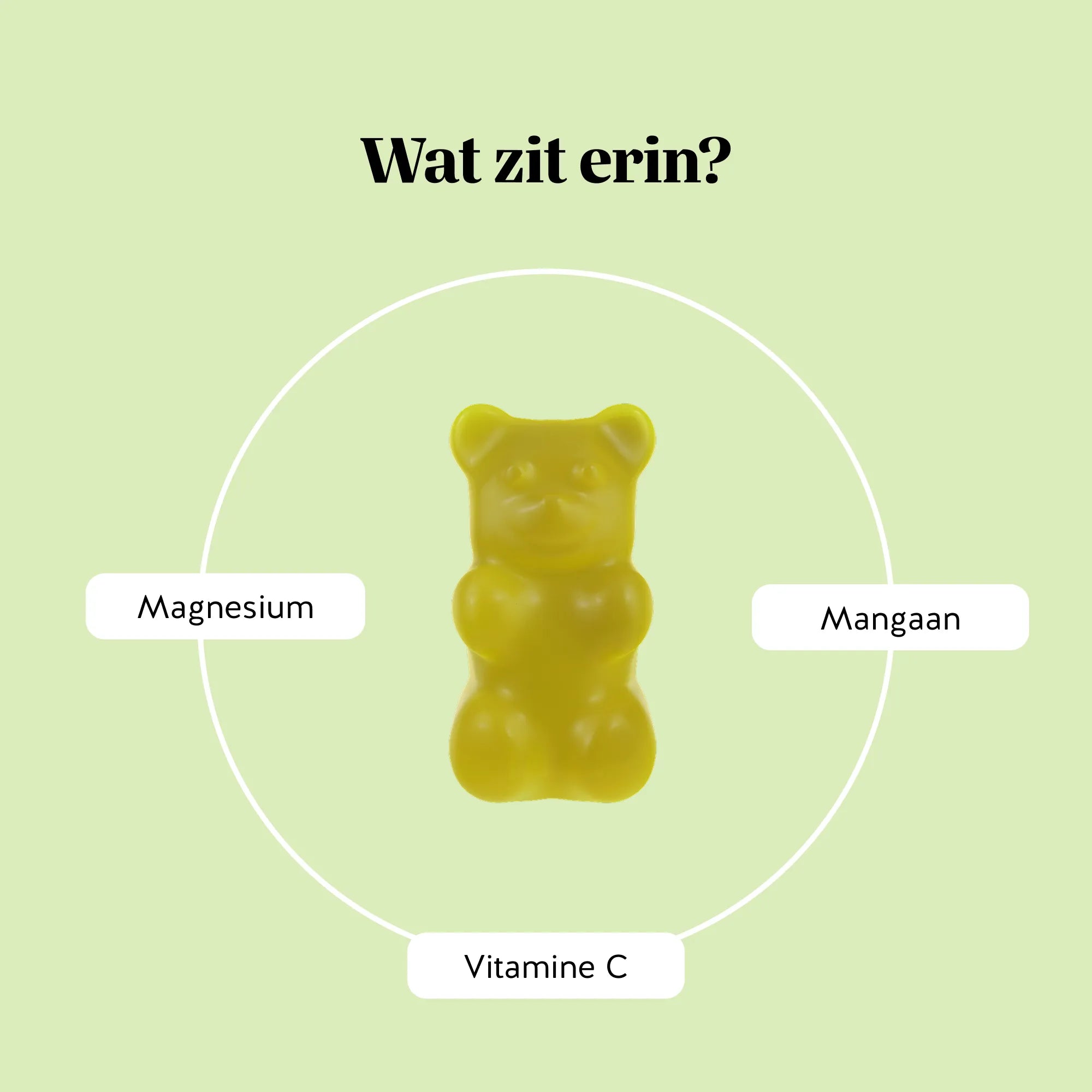 Bears with Benefits Lighter Legs¹ Water Relief² Complex – ingrediënten van de gummies met 57 mg magnesium, 0,5 mg mangaan en 30 mg vitamine C per gummy, aangevuld met plantenextracten en fruitpoeders, zonder toegevoegde suikers en vegan