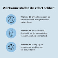 Bears with Benefits Wake-Up Call Energy* Vitamin – suikervrije vegan energie gummies voor energiemetabolisme, minder vermoeidheid en ondersteuning van het zenuwstelsel, guarana extract 30 mg, cafeïne 3 mg, vitamine B6 2,8 mg, vitamine B12 2,5 µg en biotine 50 µg, 45 stuks, vitamine B6 en biotine dragen bij tot een normaal energieleverend metabolisme, vitamine B6 en B12 dragen bij tot de vermindering van vermoeidheid en moeheid en vitamine B6 draagt bij tot een normale werking van het zenuwstelsel