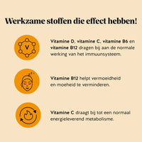 Bears with Benefits One Bear a Day Immune* Vitamin – suikervrije vegetarische vitamine gummies voor immuunsysteem, energie en vermoeidheid, vitamine C 20 mg, vitamine D 5 µg, vitamine B6 0,70 mg, vitamine B12 1,3 µg en propolis extract 10 mg, 45 stuks, vitamine D, C, B6 en B12 dragen bij aan de normale werking van het immuunsysteem, vitamine B12 helpt vermoeidheid en moeheid te verminderen en vitamine C draagt bij tot een normaal energieleverend metabolisme