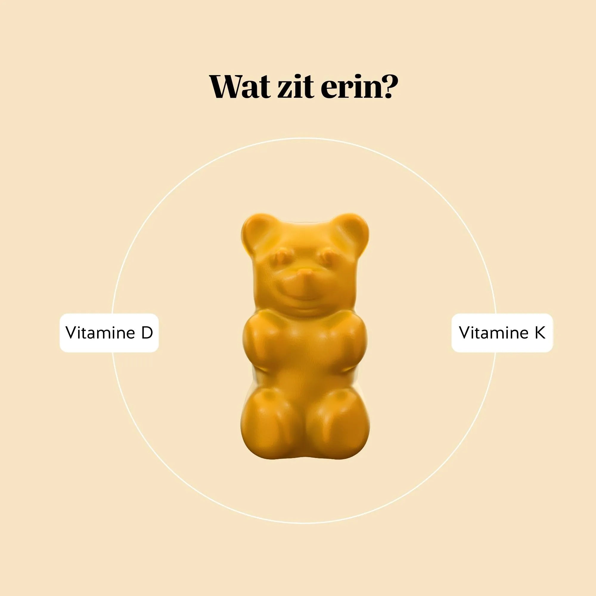 Visual met gummybeer en de tekst “Wat zit erin?”, met aanduiding van vitamine D en vitamine K in Hey Sunshine Sun Vitamin gummies l Bears with Benefits.