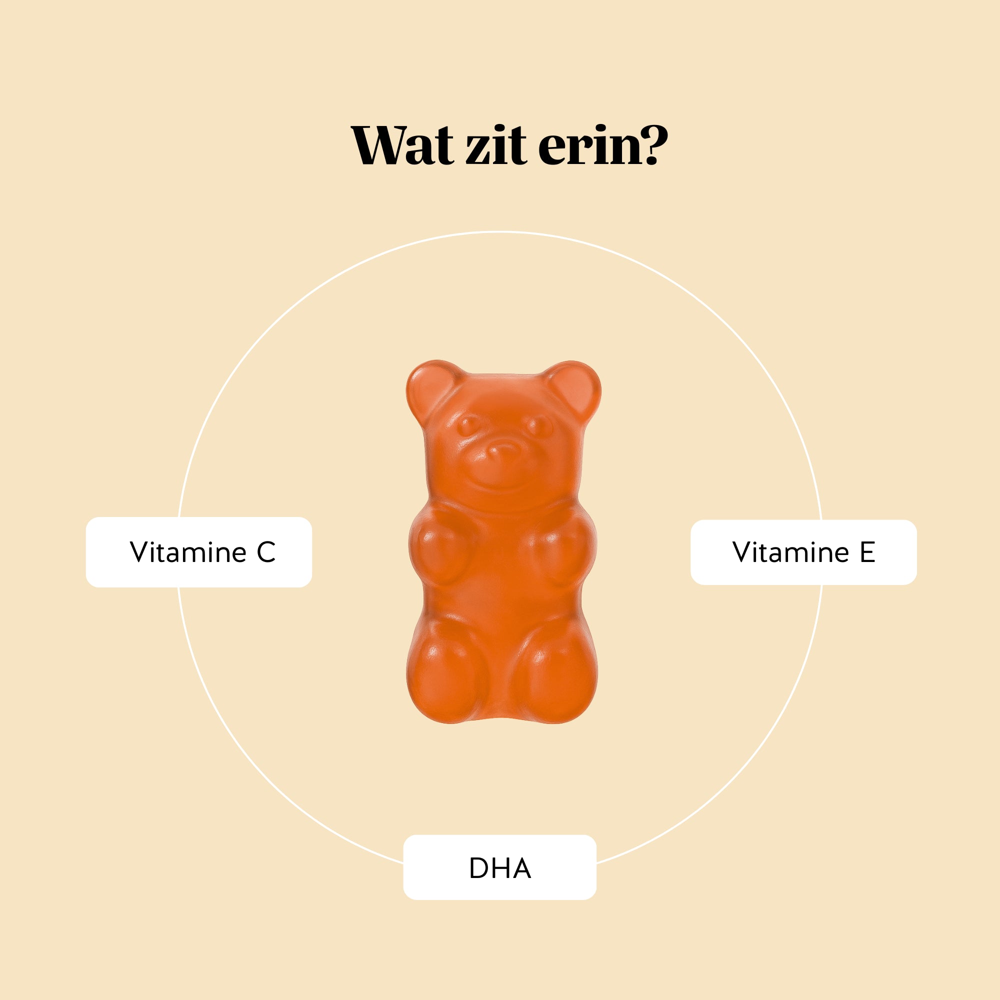 Ingrediënten van de Catch Of The Day Vitality Support vitamine gummies van Bears with Benefits, zorgvuldig geselecteerd voor immuunsysteem en hersenfunctie.