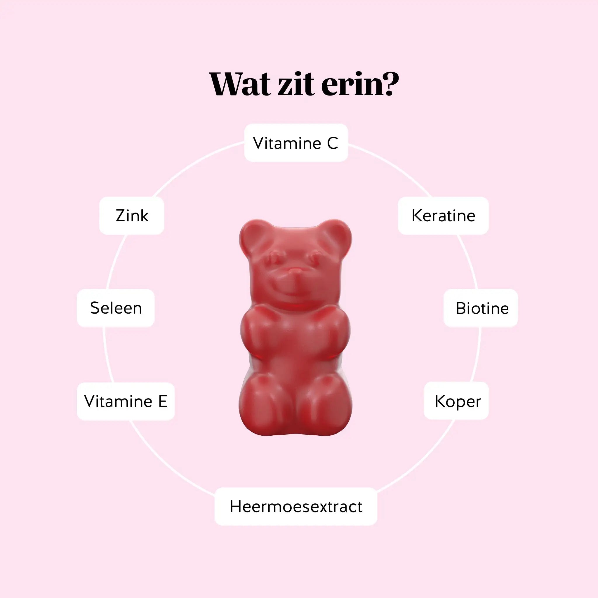 Overzicht van ingrediënten in Bears with Benefits Nail & Hair Keratine: vitamine C, E, zink, seleen, koper, biotine, keratine en heermoesextract | Bears with Benefits
