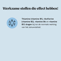 Bears with Benefits Keepin' It Calm Vitamin – ashwagandha gummies voor ondersteuning van het zenuwstelsel, met vitamine B1 (Thiamine) , B2 (riboflavine), B6 en B12, 45 stuks, suikervrij en vegan