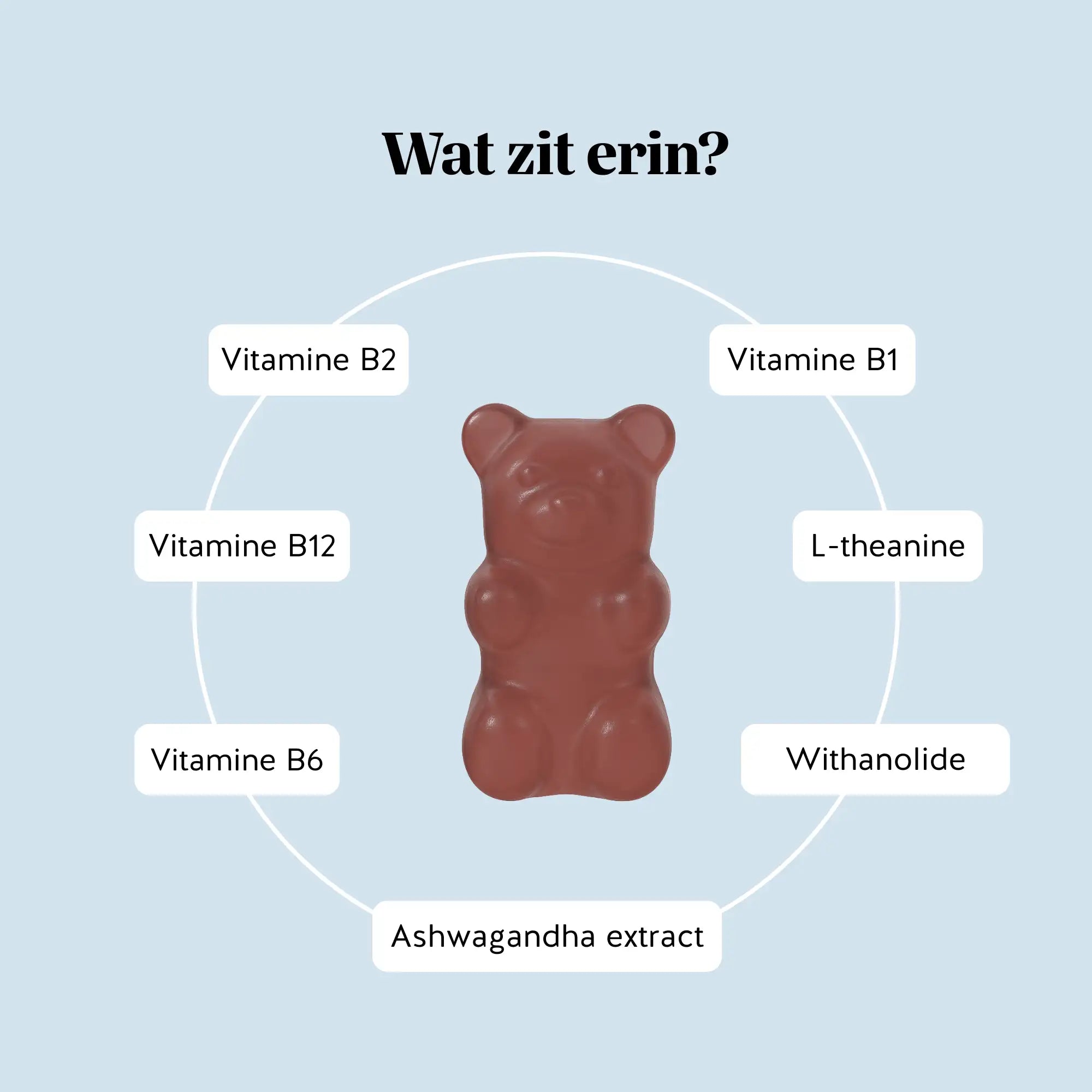Infographic met de ingrediënten van Keepin’ it Calm Vitamin gummies, waaronder ashwagandha-extract, withanoliden, L-theanine en B-vitamines l Bears with Benefits.