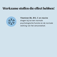 Ingrediënten en voordelen van de Mind Fuel* Brain Complex gummies, met vitamine B6, B12, C en niacine die bijdragen tot een normale psychologische functie en de normale werking van het zenuwstelsel, Bears with Benefits.