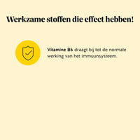 Bears with Benefits Rest & Digest Gut Flow Vitamin – tekstafbeelding met vitamine B6 claim: Vitamine B6 draagt bij tot de normale werking van het immuunsysteem