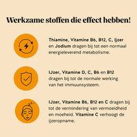 Bears with Benefits Queen of Iron Power Complex – werkzame stoffen infographic met thiamine, vitamine B6, B12, C, ijzer en jodium voor normaal energieleverend metabolisme; ijzer, vitamine D, C, B6 en B12 voor normale werking van het immuunsysteem; ijzer, vitamine B6, B12 en C voor vermindering van vermoeidheid en moeheid